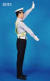 ��������ͣ��