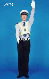 ��������ͣ��