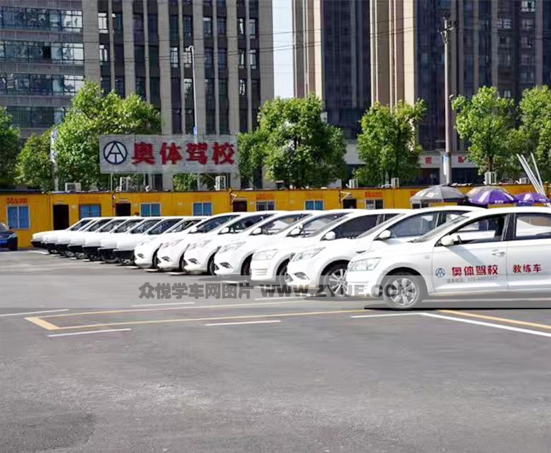 ѵ������