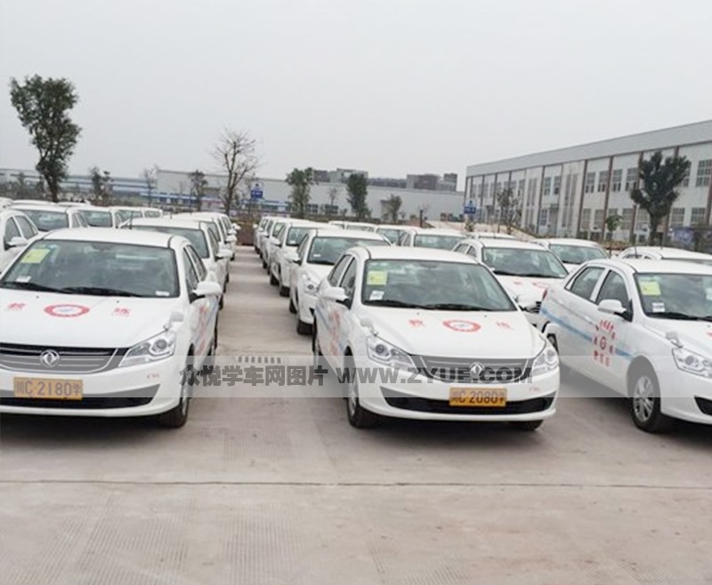 ѵ������