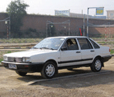 С���������ż�����Ƶ