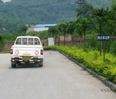 Ƥ���������ż�����Ƶ