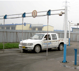 Ƥ����׮ע������